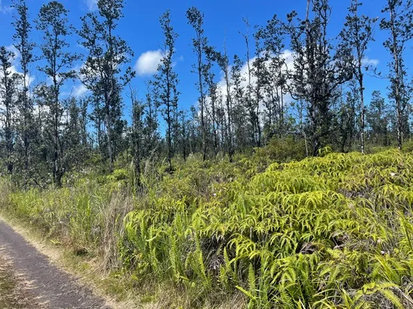Road 6 Ooaa Lot 4233, Kurtistown, HI 96760