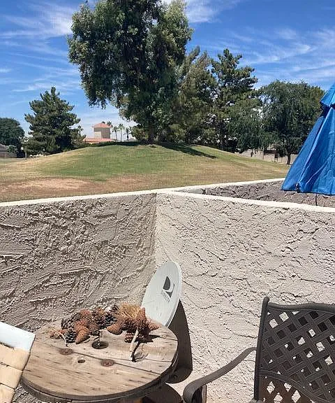 7350 N Via Paseo Del Sur #O110 — Photo 31