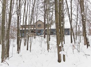 22700 Waterwheel Rd, Pierson, MI 49339