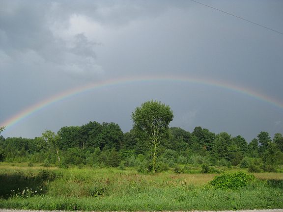 Pasture X house looking East