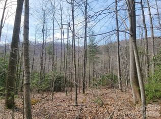 9999 Burnette Reeves Rd, Leicester, NC 28748