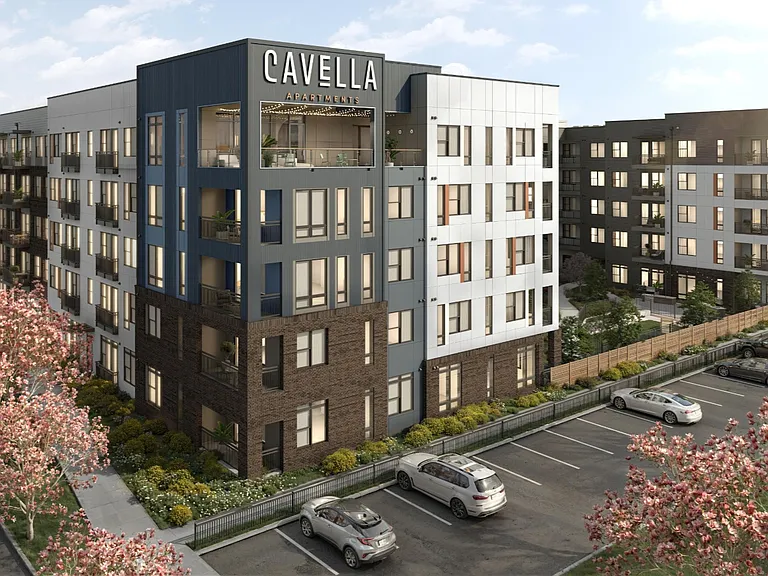 Cavella — Photo 25