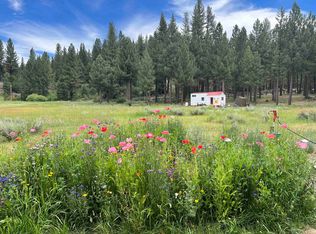 1060 Little Bear Rd, Blairsden, CA 96103