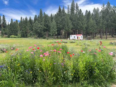 1060 Little Bear Rd, Blairsden, CA, 96103