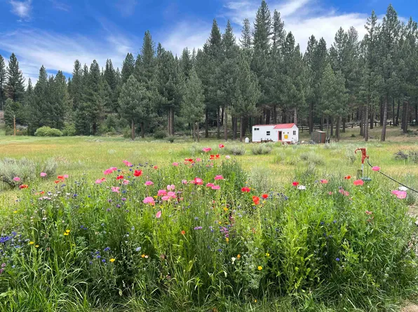 1060 Little Bear Rd, Blairsden, CA 96103