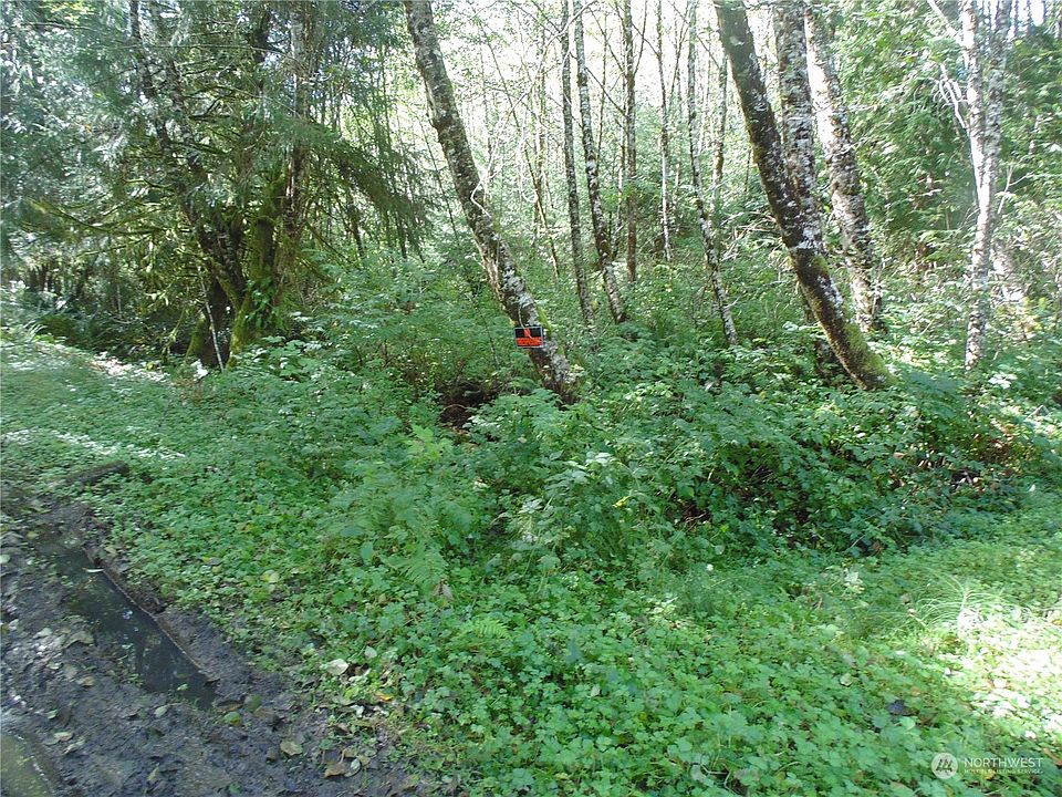 2nd image of 0 Panhandle Road