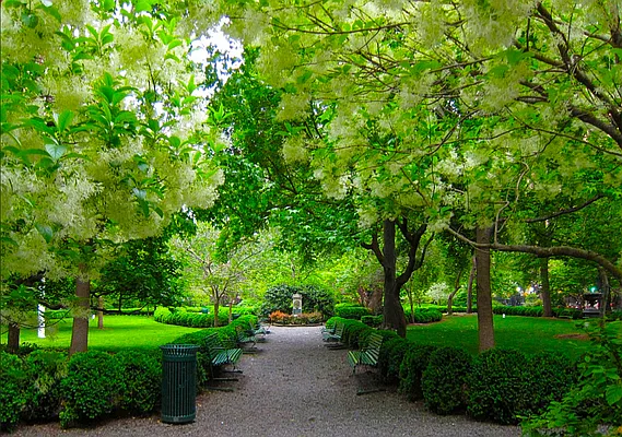 Sold by Owner | media 28