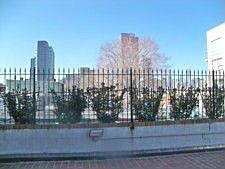 roof deck
