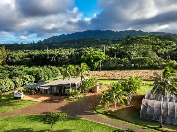 4469 N Waiakalua St #F, Kilauea, HI 96754