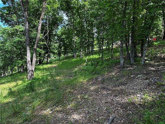 5th image of LOT 100 E Robin Rd