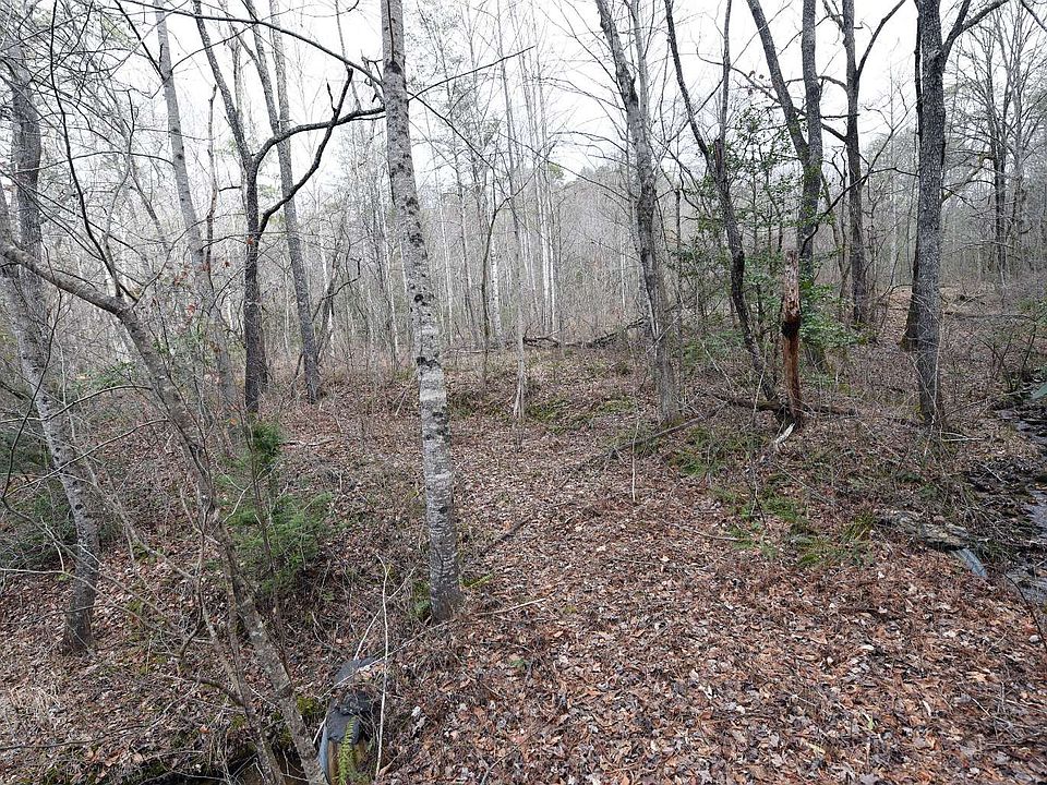 1st image of Puett Cir