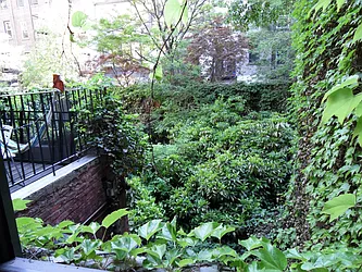 Rented by Alexander Hidalgo, Inc.