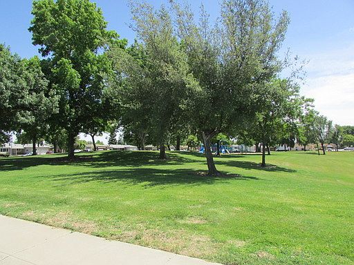 3rd image of 1047 Diamond Dr