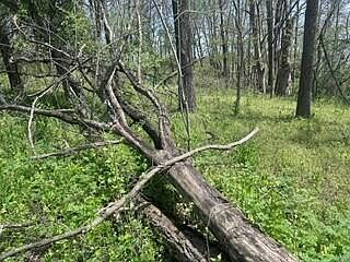 2nd image of 0 Apple Valley Dr