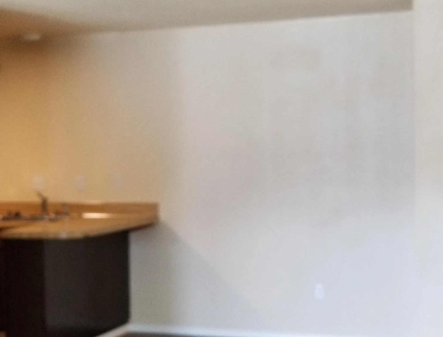 2 bed, 1000 sqft, $1,800 — Photo 4