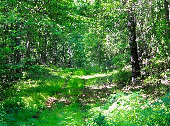 2nd image of Tbd Cranes Creek Road LOT 2B
