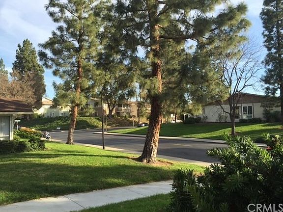 View of Trees from front of unit