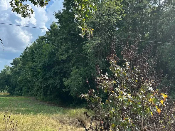 0 Mitchell Rd, Greenfield, TN 38230