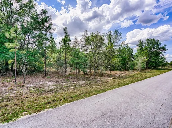 SE 194th Ave Lot 31, Morriston, FL 32668