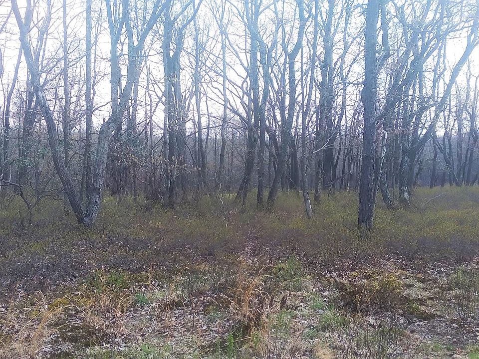 1st image of Erii 398 Crooked Stick Ln
