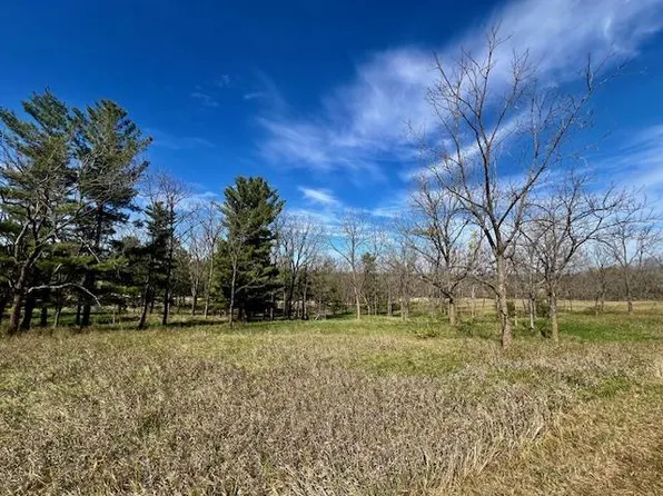 Lot 9 Highway 39 #9, Blanchardville, WI 53574