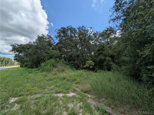 6451 N Carl G Rose Hwy, Hernando, FL 34442