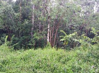 14th Ave LOT 453, Keaau, HI 96749