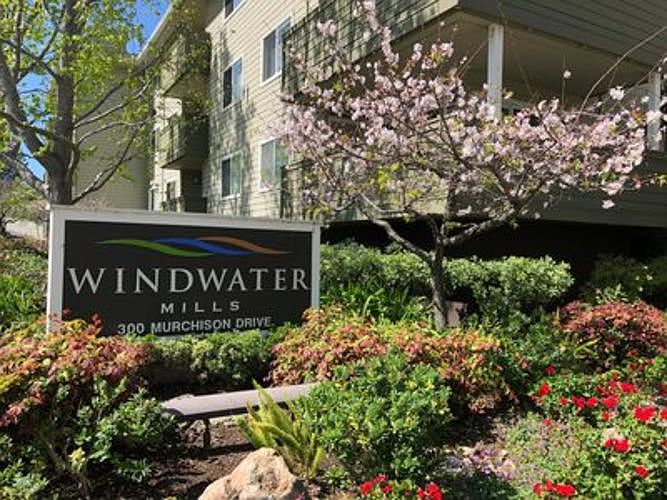 1st image of 300 Murchison Dr APT 316