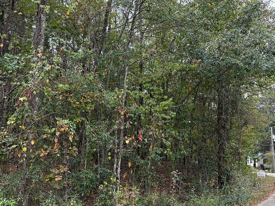 2nd image of 0 Oakland Ave #0