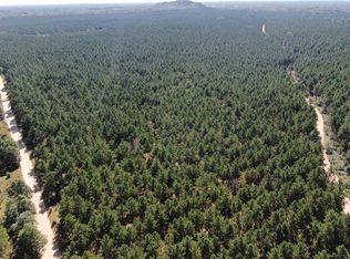 77 AC State Highway 13 Acres, Nekoosa, WI 54457