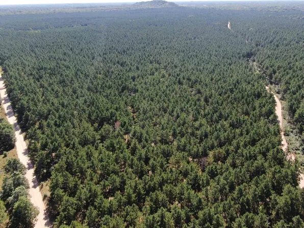 77 AC State Highway 13 Acres, Nekoosa, WI 54457