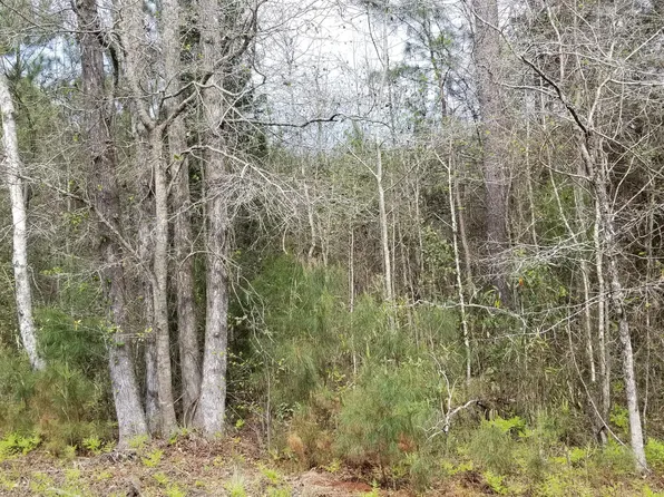 0 Randolph Dr, Smoaks, SC 29481