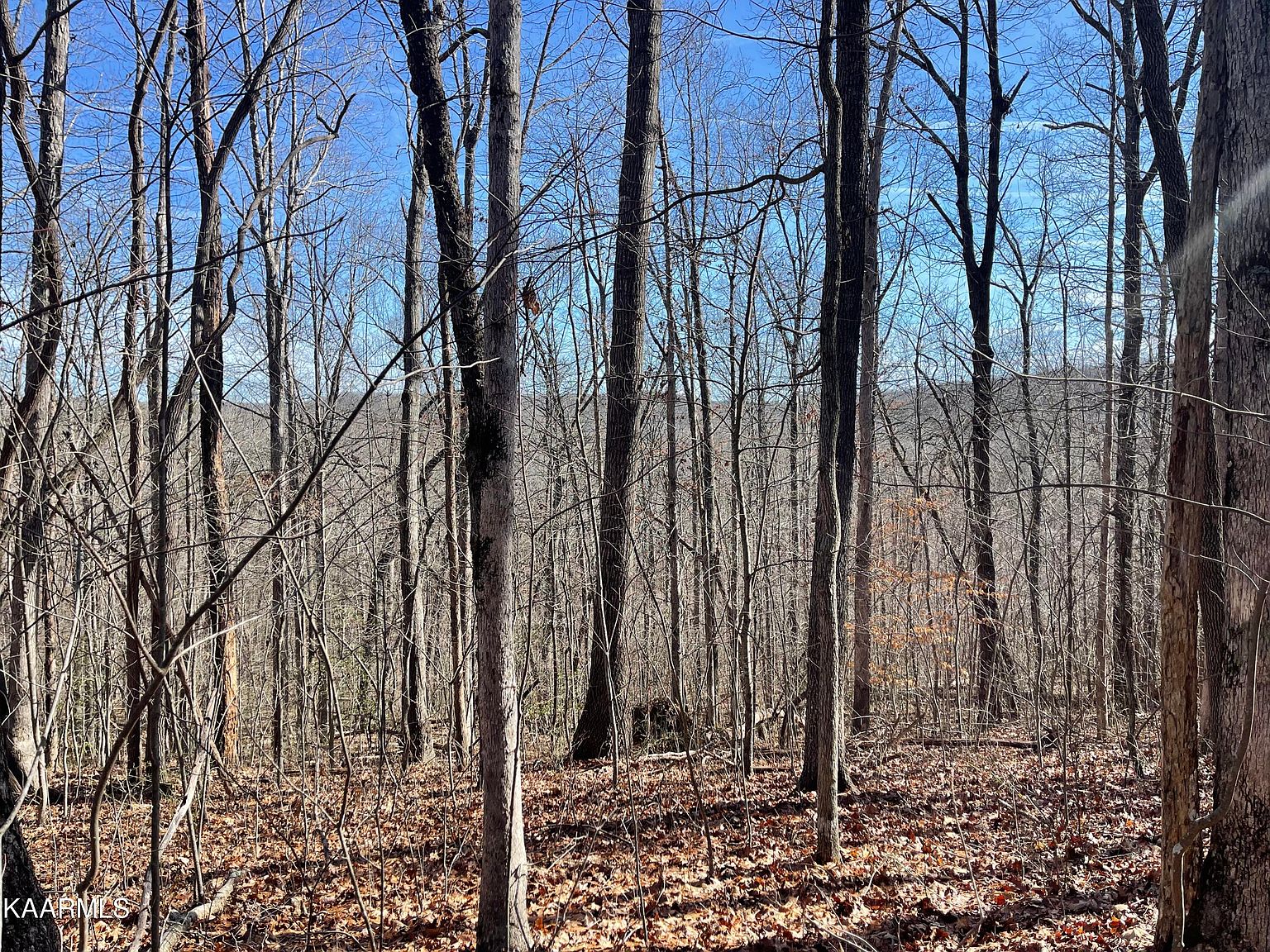 LOT 9 Belmont Cir, Monterey, TN 38574 Zillow