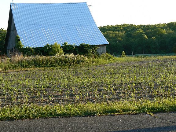 View of Farm across street