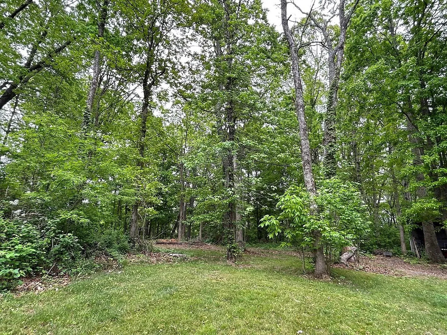 3340 Yellow Sulphur Rd — Photo 3