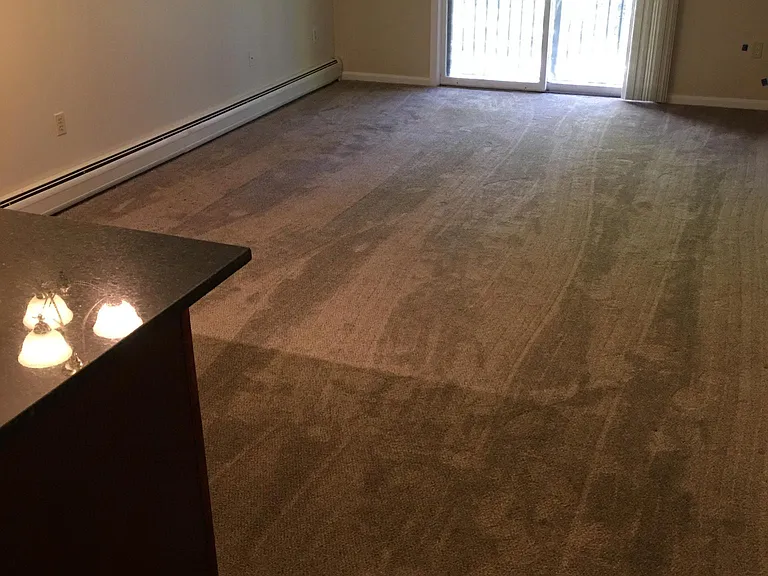 New Carpet and Pro Painted Throughout