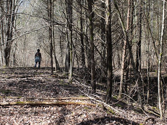 2nd image of 966 Standing Stone Highway