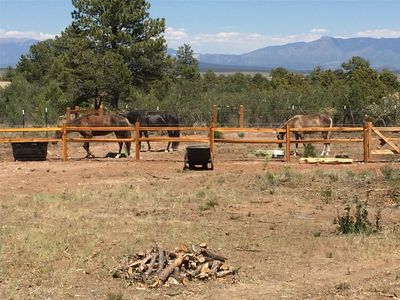 Palomar And Gavilan Tres, Questa, NM, 87556