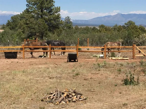 Palomar And Gavilan Tres, Questa, NM 87556