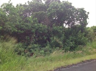 Kia Lua St LOT 746, Naalehu, HI 96772