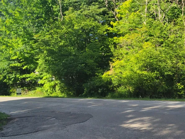 V/l 0 Maple St, Saugatuck, MI 49453