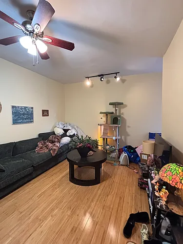 3327 Spring Garden St #3 Photo 1