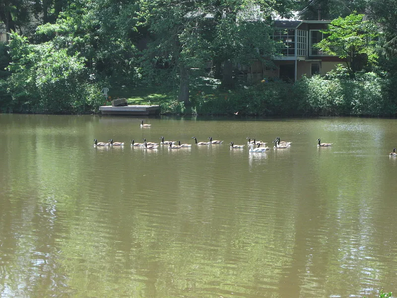 2 bed, 1.0 bath, $2,800 — Photo 2
