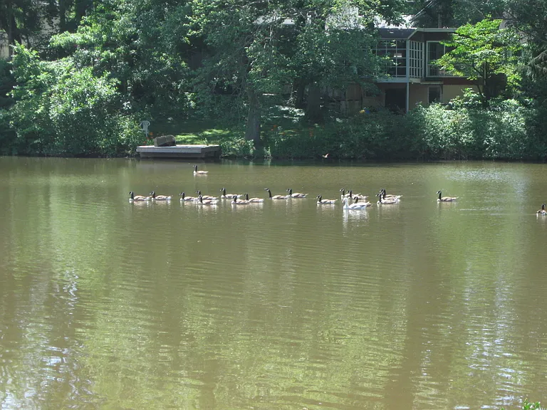 45 Lakeside Drnd #2 — Photo 2