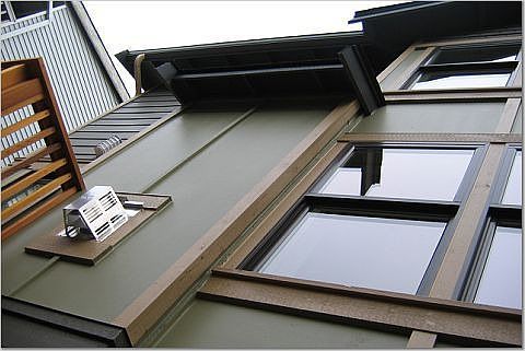 Backyard Perspective