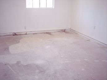 4th image of 2306 Varsity Dr
