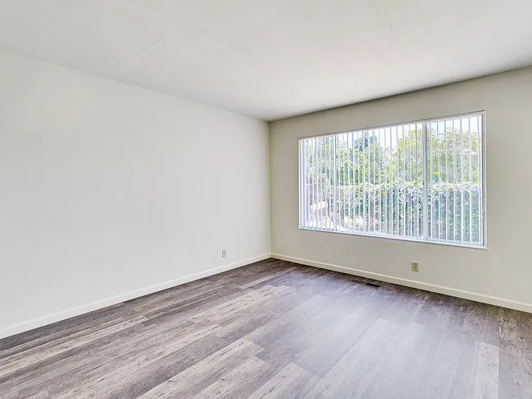 3484 Angelina Dr — Photo 3