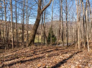 115 S Lindon Cove Rd #33, Candler, NC 28715