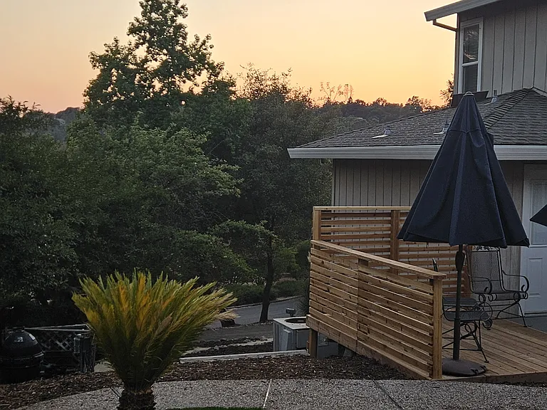 Backyard Evening