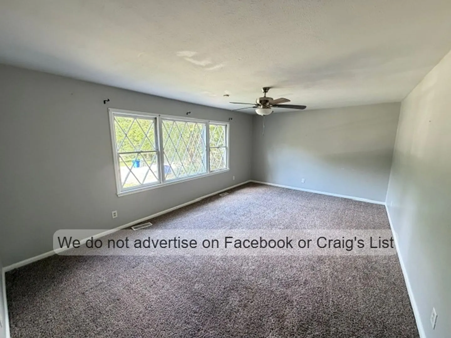 Scotty Hill- Drayton — Photo 2